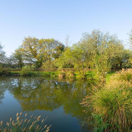 Our Goldfinch 1- Sleeps 2 Persons- Private Hot Tub-Pet Friendly-Tranquil Holiday Away From It All Yet Not Far From St Austell- The Holiday Home Has One Bedroom, Living And Dining Area, Equipped Kitchen-Decking-Outdoor Furniture-Fishing Lakes And More Grampound Екстер'єр фото