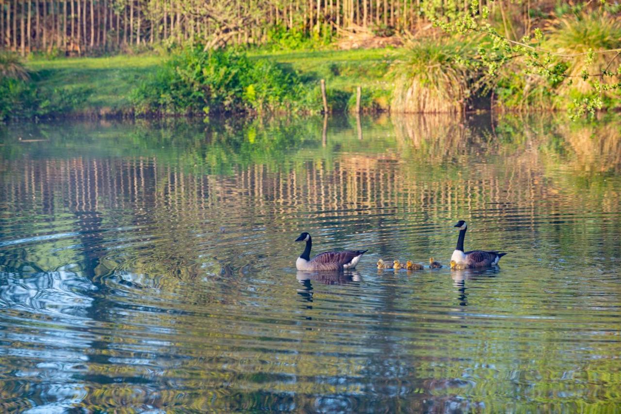 Our Goldfinch 1- Sleeps 2 Persons- Private Hot Tub-Pet Friendly-Tranquil Holiday Away From It All Yet Not Far From St Austell- The Holiday Home Has One Bedroom, Living And Dining Area, Equipped Kitchen-Decking-Outdoor Furniture-Fishing Lakes And More Grampound Екстер'єр фото