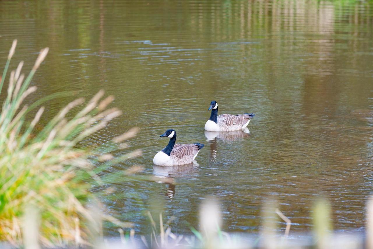 Our Goldfinch 1- Sleeps 2 Persons- Private Hot Tub-Pet Friendly-Tranquil Holiday Away From It All Yet Not Far From St Austell- The Holiday Home Has One Bedroom, Living And Dining Area, Equipped Kitchen-Decking-Outdoor Furniture-Fishing Lakes And More Grampound Екстер'єр фото